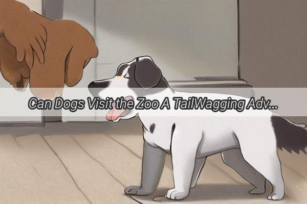 Can Dogs Visit the Zoo A TailWagging Adventure Guide